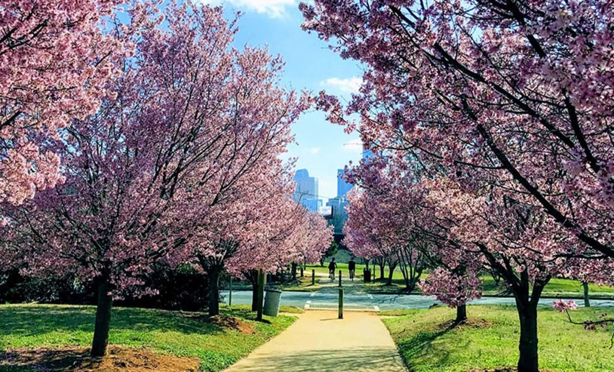 Charlotte, NC Destination