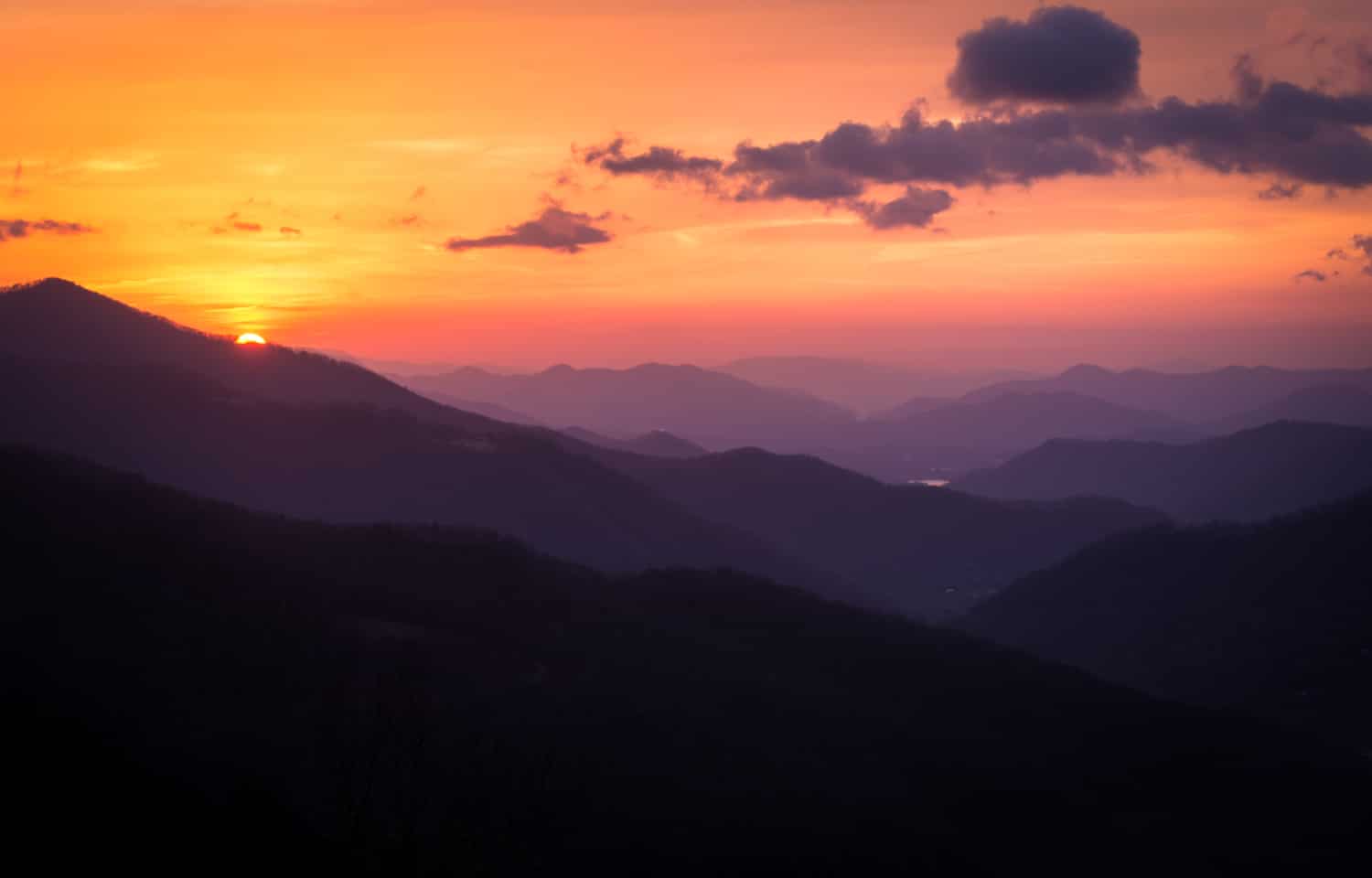 The Kessler Collection is Proud to Present Harvest of Hope for Asheville