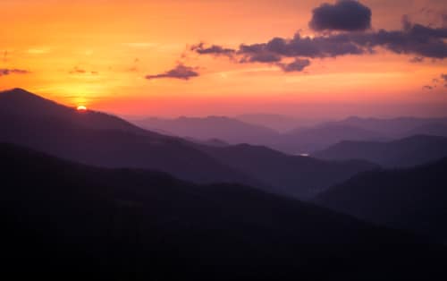 The Kessler Collection is Proud to Present Harvest of Hope for Asheville